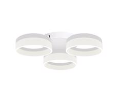 LED Mennyezeti lámpa RING 3xLED/12W/230V fehér