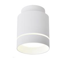 LED Mennyezeti lámpa TUBA LED/12W/230V