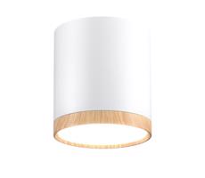 LED Mennyezeti lámpa TUBA LED/5W/230V fehér/bézs