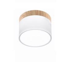 LED Mennyezeti lámpa TUBA LED/9W/230V fehér/bézs