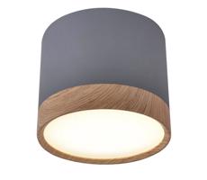LED Mennyezeti lámpa TUBA LED/9W/230V