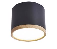 LED Mennyezeti lámpa TUBA LED/9W/230V