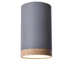 LED Mennyezeti lámpa TUBA LED/9W/230V