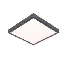 LED Mennyezeti lámpa VITALI LED/24W/230V
