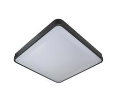 LED Mennyezeti lámpa WILTON LED/24W/230V antracit