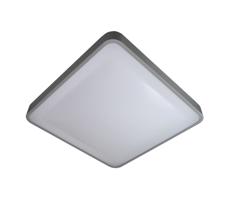 LED Mennyezeti lámpa WILTON LED/24W/230V szürke