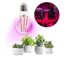 LED Növénynevelő izzó PLANTY E27/8W/230V 1200K