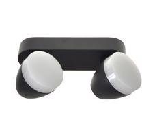 LED Spotlámpa SURMUR 2xLED/6W/230V fekete