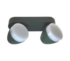 LED Spotlámpa SURMUR 2xLED/6W/230V zöld