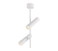 LED Spotlámpa TUBA 2xLED/10W/230V fehér