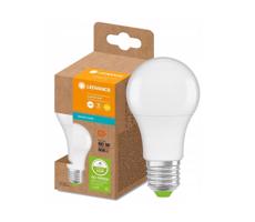 Ledvance LED Izzó újrahasznosított műanyagból A60 E27/8,5W/230V 2700K