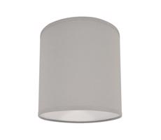 Mennyezeti lámpa 1xE27/40W/230V szürke