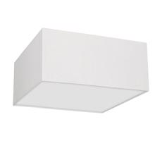 Mennyezeti lámpa ALBION 2xE27/60W/230V