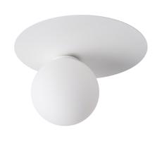 Mennyezeti lámpa ARGON 1xG9/12W/230V fehér