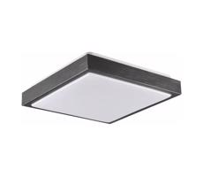 Mennyezeti lámpa KAZIMIERZ 2xE27/20W/230V 29,5x29,5 cm fekete