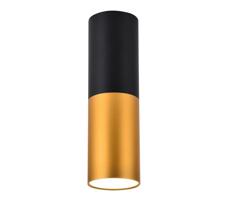 Mennyezeti lámpa TUBA 1xGU10/15W/230V