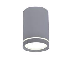 Mennyezeti lámpa TUBA GU10/15W/230V