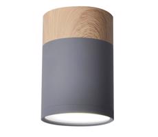 Mennyezeti lámpa TUBA GU10/15W/230V