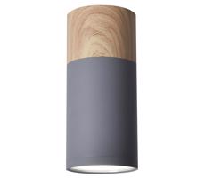 Mennyezeti lámpa TUBA GU10/15W/230V