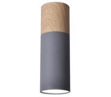 Mennyezeti lámpa TUBA GU10/15W/230V