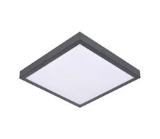 Mennyezeti lámpa VITAL 2xE27/60W/230V antracit