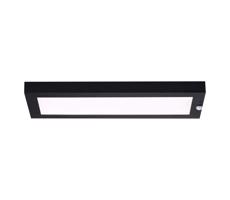 Paulmann Paulmann 94256_1