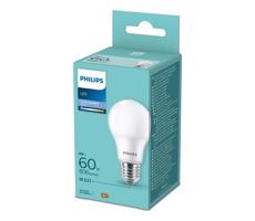 Philips LED Izzó Philips A60 E27/8W/230V 6500K