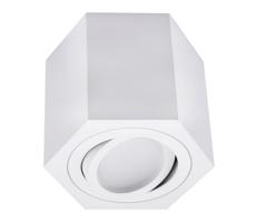 Spotlámpa ARENO 1xGU10/30W/230V fehér