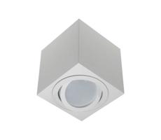 Spotlámpa FEBE 1xGU10/30W/230V fehér