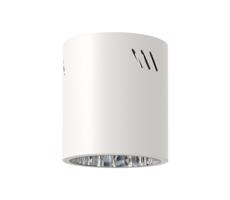 Spotlámpa GEORGE 1xE27/60W/230V átm. 13,7 cm fehér