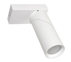 Spotlámpa RACHID 1xGU10/30W/230V fehér