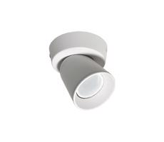 Spotlámpa TROY 1xGU10/30W/230V fehér