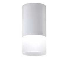 Spotlámpa TUBA 1xGU10/15W/230V szürke/fehér