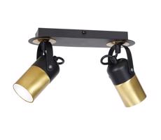 Spotlámpa WILSON 2xGU10/25W/230V
