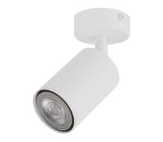 Spotlámpa ZOOM 1xGU10/25W/230V fehér
