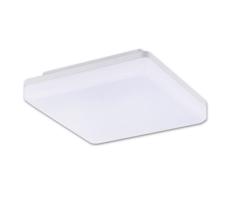 Top Light Top Light Leon H
