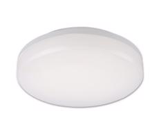 Top Light Top Light Leon K