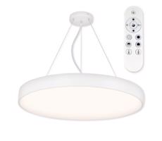 Top Light Top Light Metal 60BZ RC