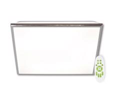 Top Light Top Light Silver HXL RC