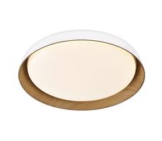 Top Light Top Light