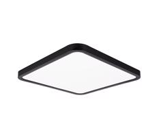 Top Light Top Light