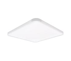 Top Light Top Light